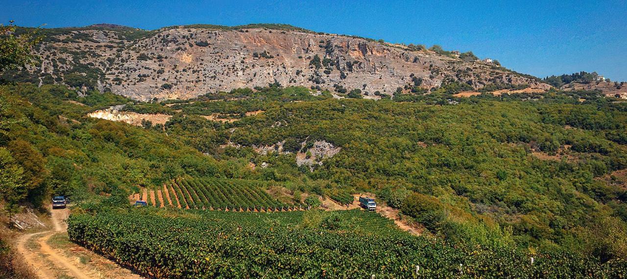 Rapsani Panorama Villa Exterior foto